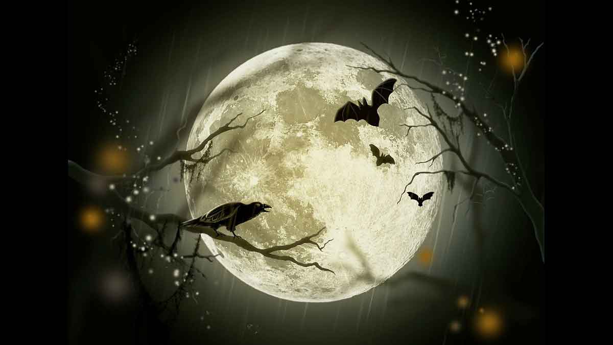 Eve Red: Halloween: Szabadság - Novella Blog