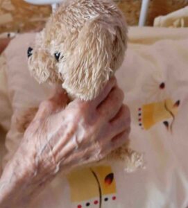 nagymamám nagymamám