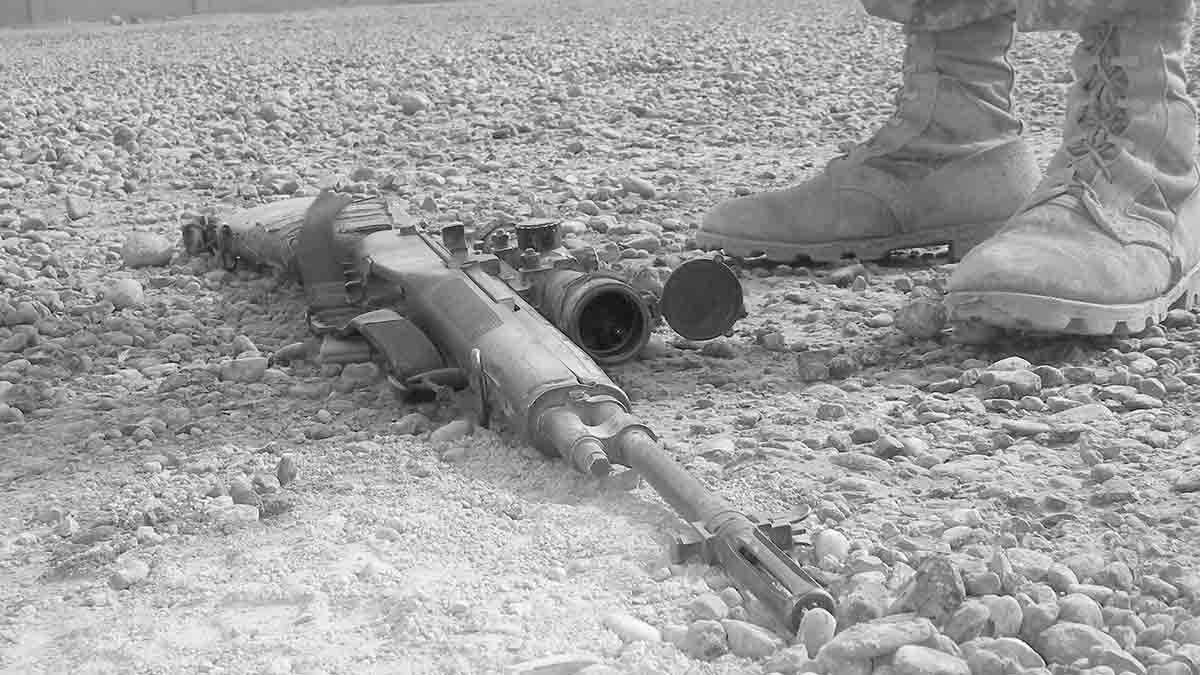 Előzetes Novella Blog