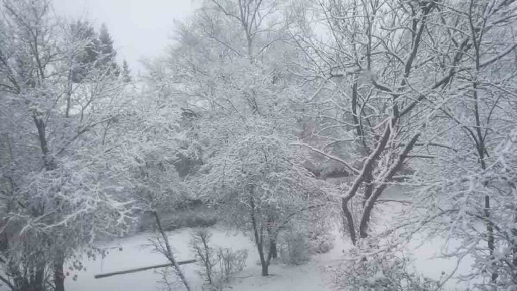 Téli történet – Novella Blog