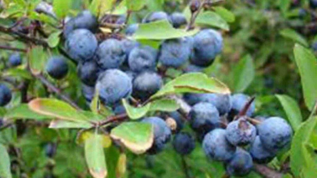 Ennek még kell... - Novella Blog