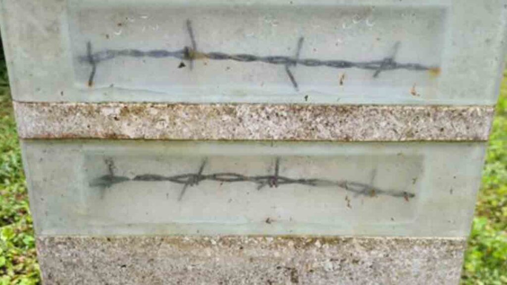 Szögesdrót - Novella Blog