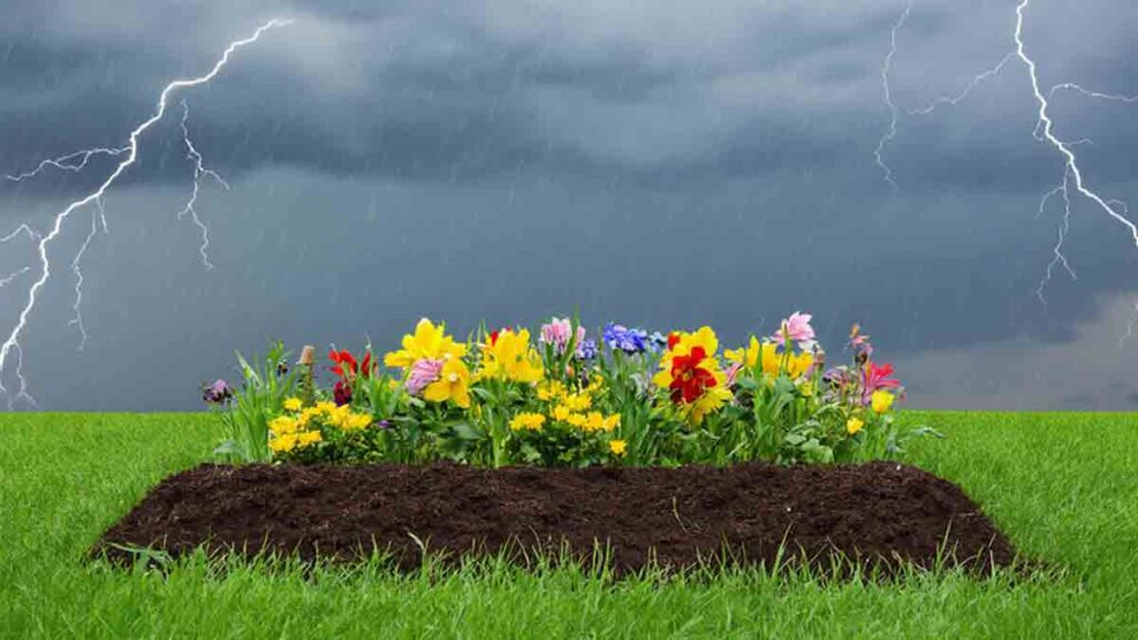 Új kezdet - 1. rész - Novella Blog