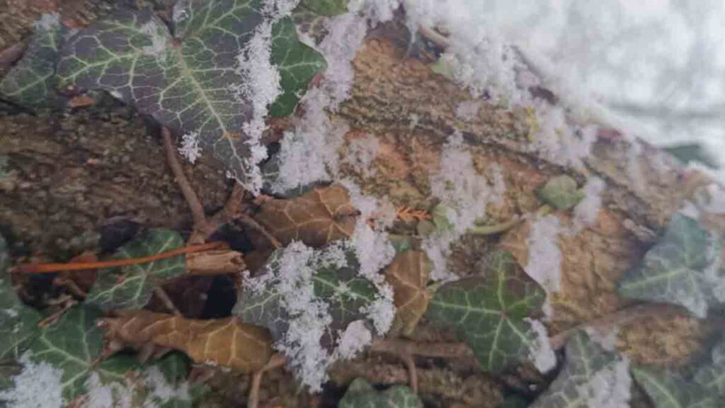 Azért is megrázom a harangot - Novella Blog