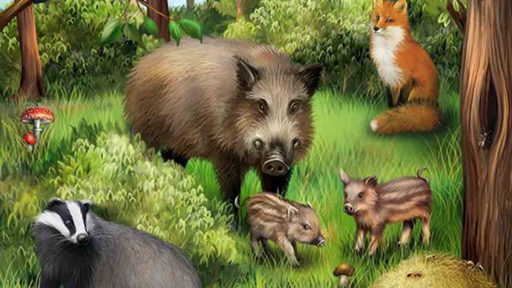 Panka és Tüsi - Novella Blog