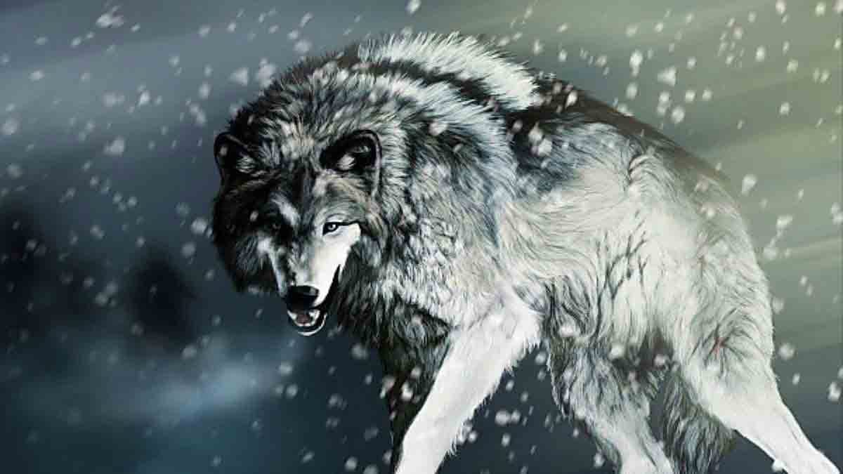 A vadász – Novella Blog
