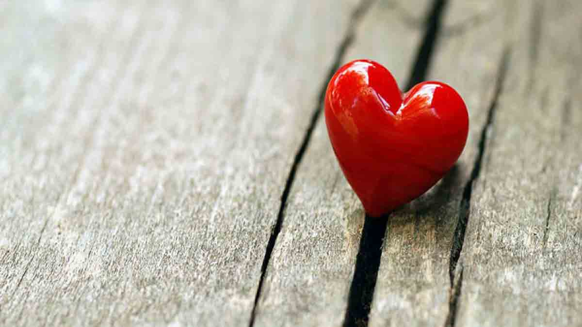 Boldog Valentint! – Novella Blog