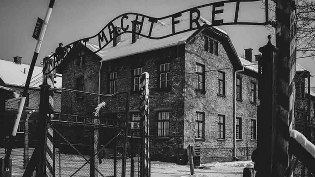 Auschwitzi rémálom – Novella Blog